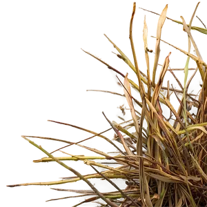 Dead Grass Texture Png Smb10 PNG Image