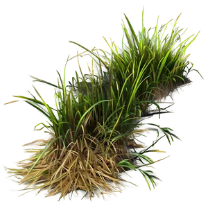 Dead Grass Tuft Png Lts92 PNG Image