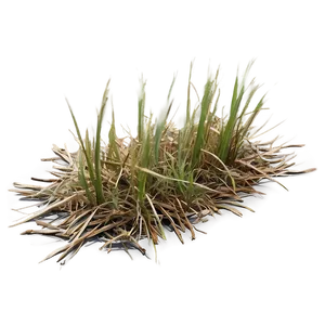 Dead Grass Underfoot Png Lcy80 PNG Image