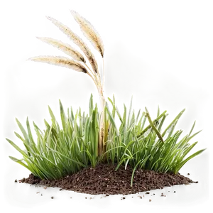 Dead Lawn Grass Png Rmc PNG Image