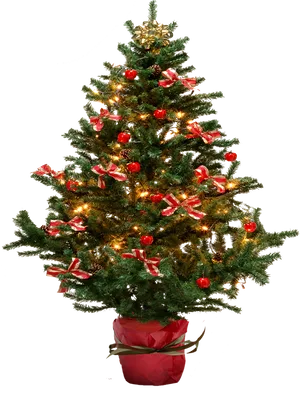 Decorated Christmas Treewith Lights PNG Image