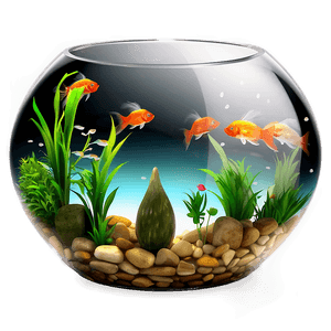 Decorative Fishbowl PNG use PNG