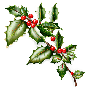 Decorative Holly PNG 84 PNG