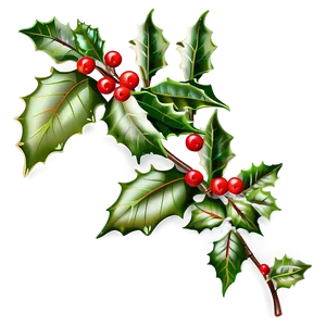 Decorative Holly Png 84 PNG Image