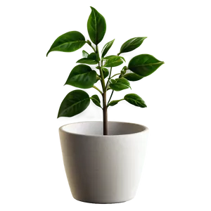 Decorative Small Plant Png 06132024 PNG Image