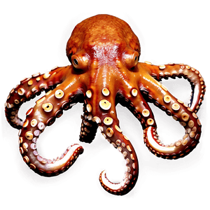 Deep Sea Octopus PNG aad31 PNG image with transparent background