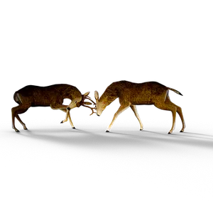 Deer Antler Confrontationin Darkness PNG Image