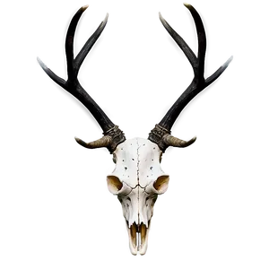 Deer Skull With Antlers Png Rdb33 PNG Image