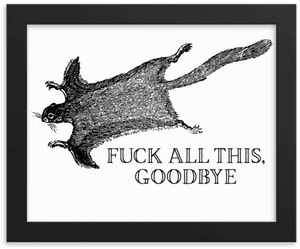 Goodbye Framed'Srcset='data - Effin Birds Goodbye, HD Png Download PNG image with transparent background