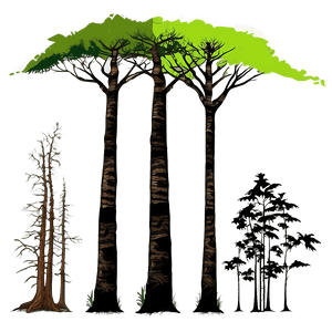 Deforestation Global Warming Connection PNG ndd72 PNG