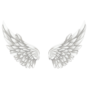 Delicate Angel Wings Pattern PNG rju PNG image with transparent background
