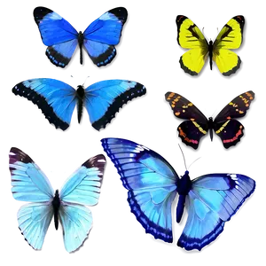 Delicate Blue Butterflies Png Ccl PNG Image