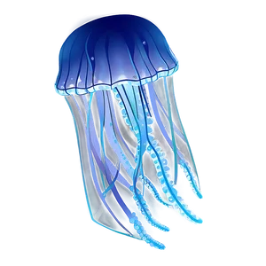 Delicate Moon Jelly Outline Png Feh PNG Image