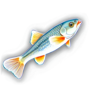 Delightful Fish Sketch Png Rds52 PNG Image