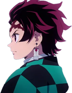 Demon Slayer Character Profile PNG Image