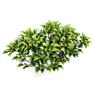 Dense Flower Bush Png 71 PNG Image