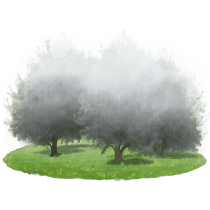 Dense Fog Mist PNG 80 PNG image with transparent background