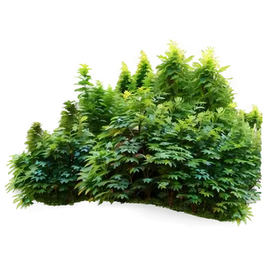 Dense Forest Landscape Png Mgs95 PNG Image