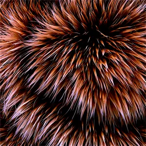 Dense Fur Texture Png 06272024 PNG Image