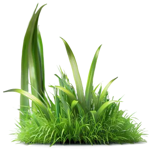 Dense Green Grass Png Evo84 PNG Image