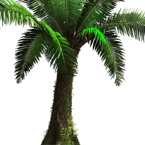 Dense Jungle Tree Png 20 PNG Image