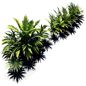 Dense Plant Shadow Composition Png Mab PNG Image