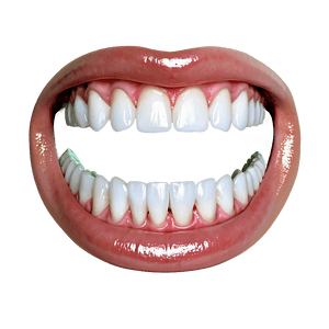 Dental Education Poster PNG qdo37 PNG