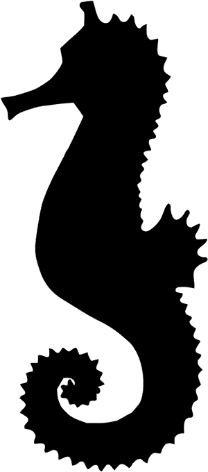 Desenho De Cavalo Marinho Para Imprimir, HD Png Download PNG image with transparent background