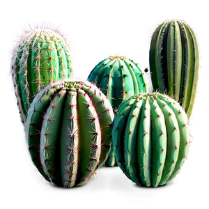 Desert Cactus Png 23 PNG Image