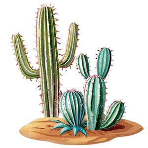 Desert Cactus PNG 59 PNG image with transparent background
