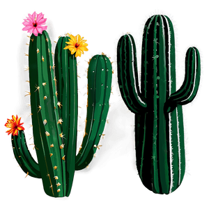 Desert Cactus PNG kls91 PNG image with transparent background