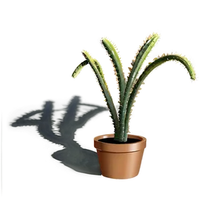 Desert Plant Shadow Png Rpf30 PNG Image