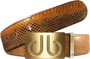 Designer Gold Buckle Snakeskin Belt PNG Image