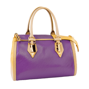 Designer Purse PNG 3 PNG image with transparent background