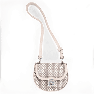 Designer Purse PNG rcn47 PNG image with transparent background