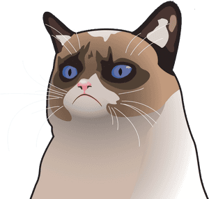 Desktop Backgrounds Cat Funny, HD Png Download PNG image with transparent background