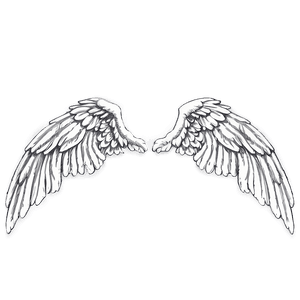 Detailed Angel Wings Sketch PNG 05042024 PNG image with transparent background