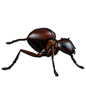 Detailed Ant Drawing PNG vma PNG image with transparent background