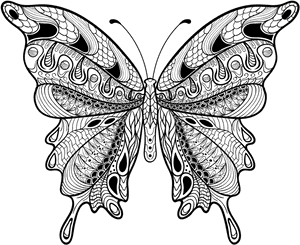 Intricate Butterfly Wing Design, HD Png Download PNG image with transparent background