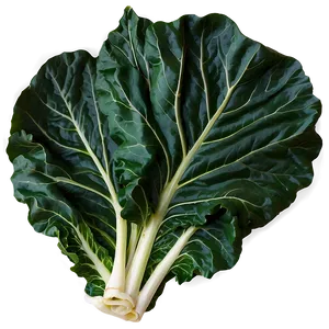 Detailed Collard Greens Png 44 PNG Image