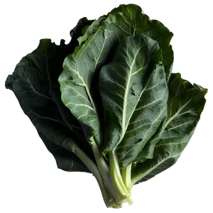 Detailed Collard Greens Png Hhd PNG Image