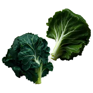 Detailed Collard Greens Png Skb PNG Image