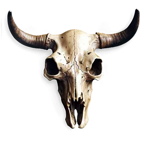 Detailed Cow Skull Sketch Png Hhc60 PNG Image