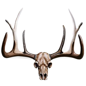 Detailed Deer Antler Engraving Png Psh79 PNG Image