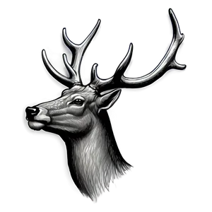 Detailed Deer Head Sketch Png 54 PNG Image