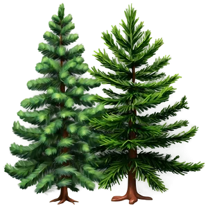 Detailed Evergreen Tree Png Fke PNG Image