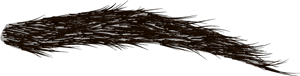 Detailed Eyebrow Texture PNG image with transparent background