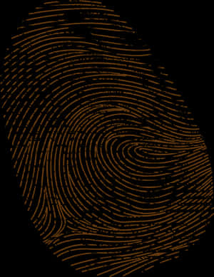Detailed Fingerprint Pattern PNG image with transparent background