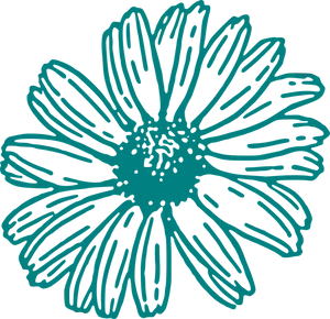 Detailed Flower Outline Graphic PNG Image