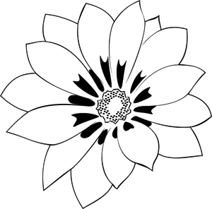 African Daisy, HD Png Download PNG image with transparent background